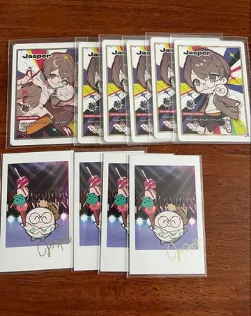 crazy raccoon CR 페스티벌 쟈스퍼