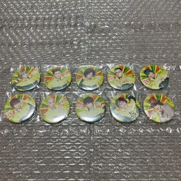 테니뮤 팀파 오리지널 캔뱃지 컴플리트 세트 시텐호지