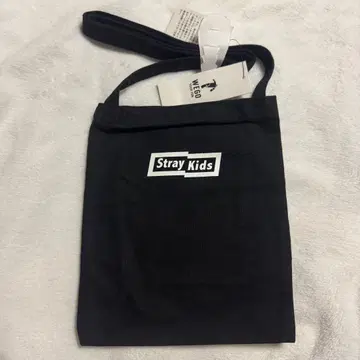 StrayKids 스키즈 WEGO 콜라보 사코슈