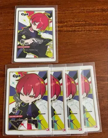 crazy raccoon CR 페스티벌 Cpt