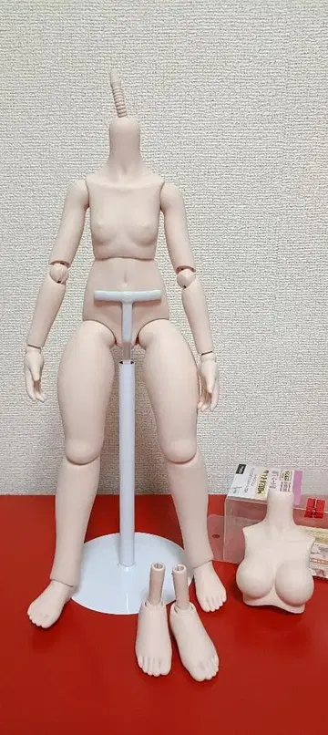 MDD 모찌아시 베이스 바디 의상 세트 스탠드 포함