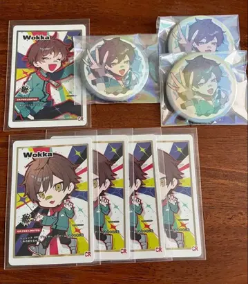 crazy raccoon CR 페스티벌 wokka