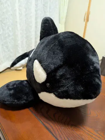 나고야항 수족관 범고래 복권 특상