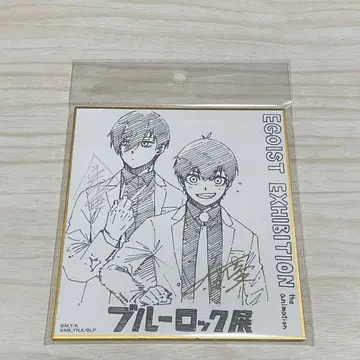 블루 록 전시회 미니 색지 세트