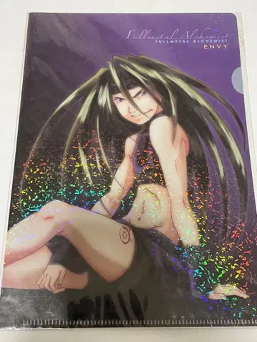 강철의 연금술사 엔비 클리어 파일