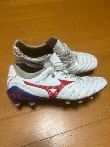 모나르시다 네오 2 26.5