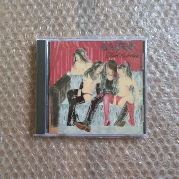 RAPES/FINAL COLLECTION 레이프스 하드코어 메탈코어