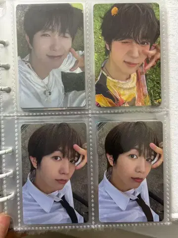 nctwish color 료우 4장 세트