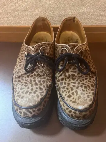 GEORGE COX 조지 콕스 8961 UK8 레오파드