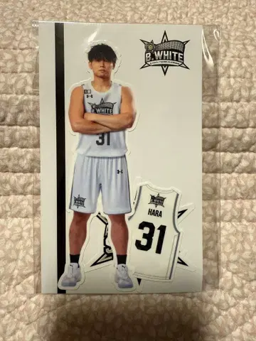 치바 제츠 하라 슈타 B리그 올스타