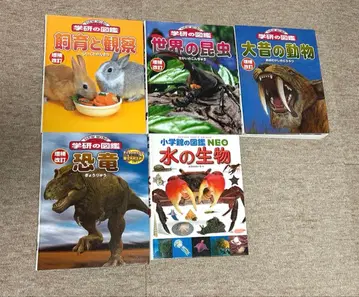 학습연구사 소학관 어린이용 도감 5권 세트 묶음 판매
