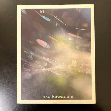 카와우치 린코 Rinko Kawauchi / as it is
