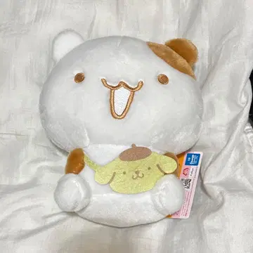 11 라운드원 한정판 팀 푸딩 모두 함께 산책해요! 머핀 2