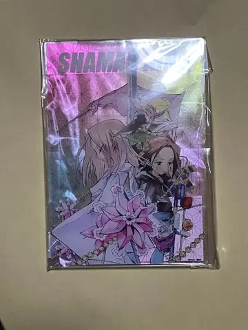 샤먼킹 25주년 아크릴 아트 보드 오소레잔 루 보와르