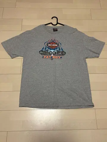 Harley-Davidson 그레이 T셔츠