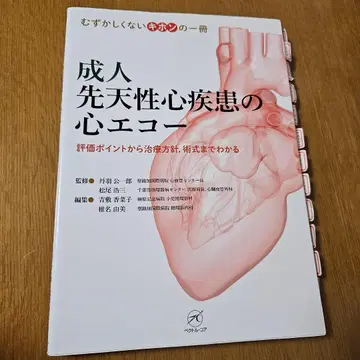 성인 선천성 심장 질환의 심장 초음파