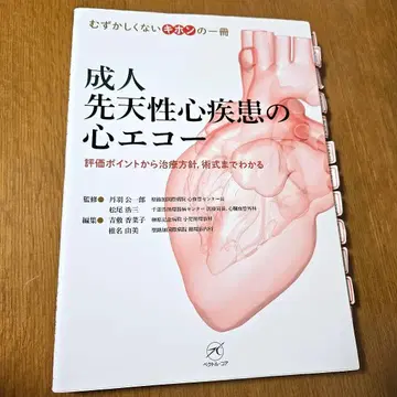 성인 선천성 심장 질환의 심장 초음파