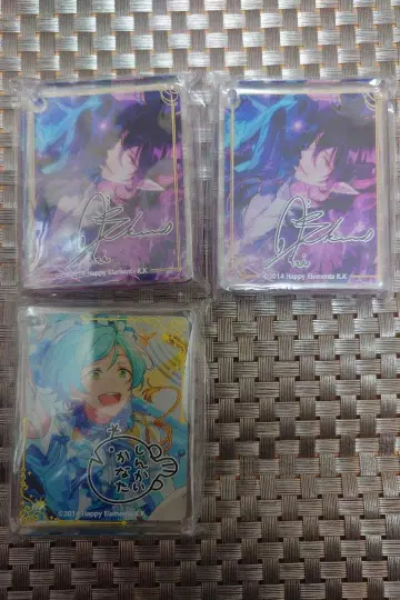 앙스타 코롯타 레이 소타