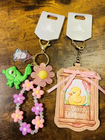 라푼젤의 패스케이스와 참