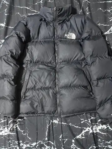 레어 THE NORTH FACE 다운 자켓 L 레트로 눕시 700