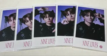 초특급 타카시 미니 사진 컴프 ninelives REAL?