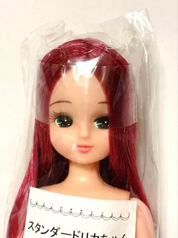 인형 교실 스탠다드 리카짱 리카짱 캐슬