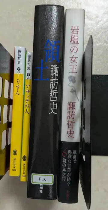 리슨 아사테의 사람 영토 암염의 여왕 스와 테츠시