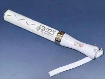 브이스포 페스티벌 2025 응원봉