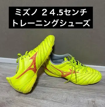 미즈노 트레이닝 슈즈 24.5cm