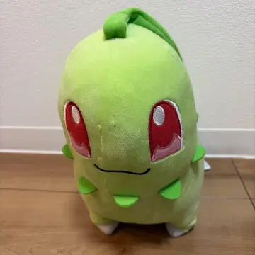 치코리타 봉제 인형