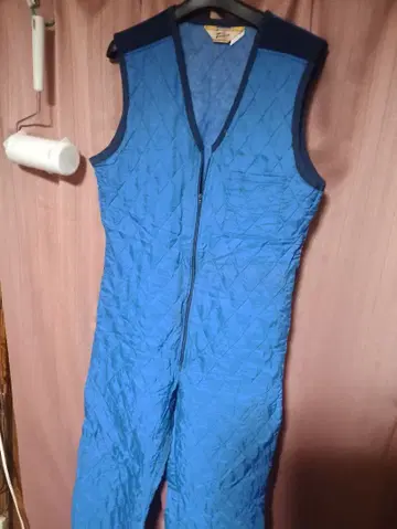 토모에 파랑 퀼팅 슬리브리스 플라이트, 스키 수트 오버롤