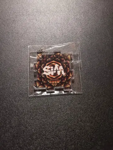 진미래제 2025/DAY 2/아크릴 키링/SiM