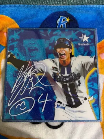 요코하마 DeNA 베이스타즈 아크릴 라메 색지 와타라이 타카테루