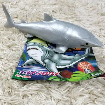 새상품 오오메지 로자메 정글 &co. 안드코 데아고스티니