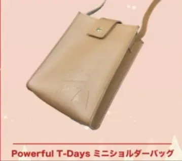 타하라 토시히코 굿즈 Powerful T-Days 미니 숄더백