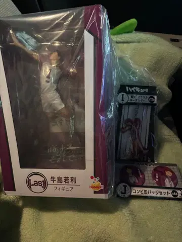 하이큐 제일복권 라스트원 우시지마 피규어