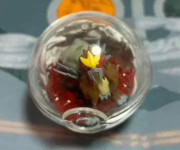 포켓몬 피규어 엔테이 포켓몬스터 테라리움 컬렉션 6