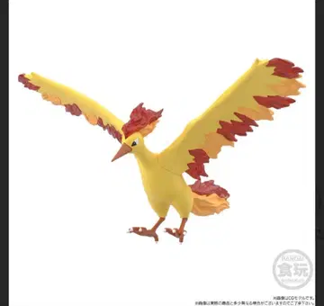 포켓몬 스케일 월드 파이어