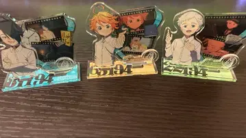 엠마 노먼 레이 아크릴 스탠드 세트