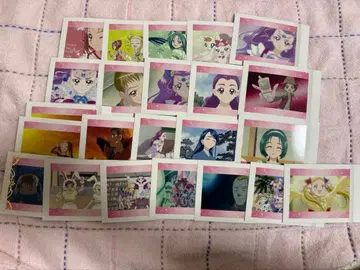 프리큐어 5GoGo 파샤코레