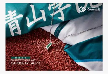 코란토테 체인 목걸이 청학 모델