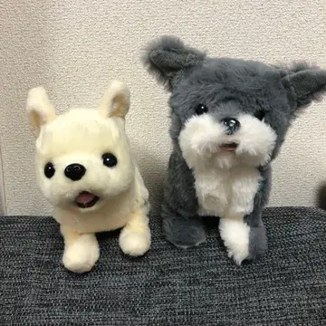 이와야 IWAYA 움직이는 봉제 인형 강아지 피코리니 치와와