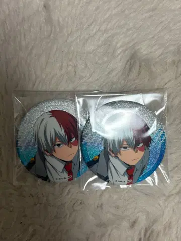 토도로키 쇼토 캔뱃지 2개 세트