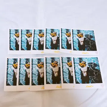 스토푸리 루토군 브로마이드 실사