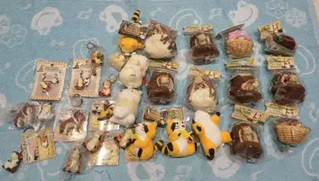 다양한 라스칼 키링