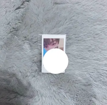 가수 초학생 친필 사인 폴라로이드