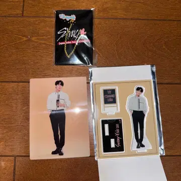 straykids 창빈 아크릴 스탠드 체인 포함 핀즈 세트