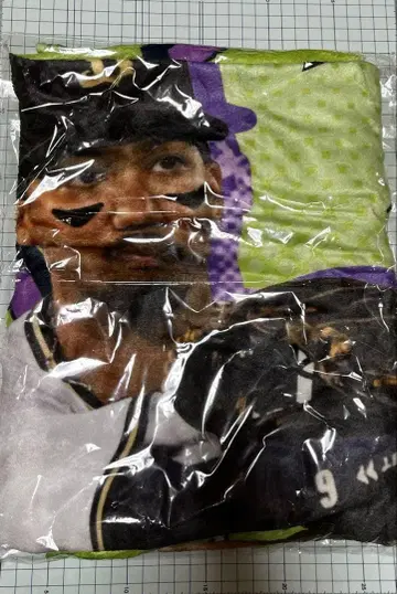 오릭스 소 스케마 담요 코로차레 A상