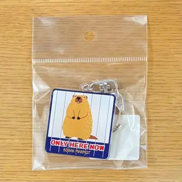 마모트 이즈 샤보텐 공원 한정판 아크릴 키링