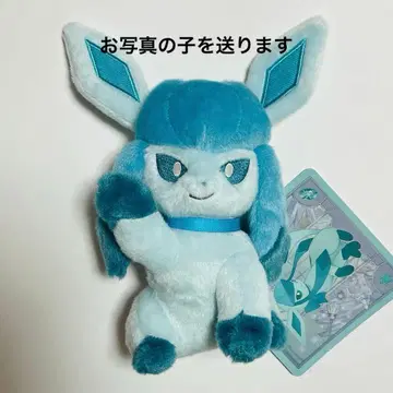 글레이시아 이브이 컬렉션 봉제 인형 포켓몬 센터 한정판 1